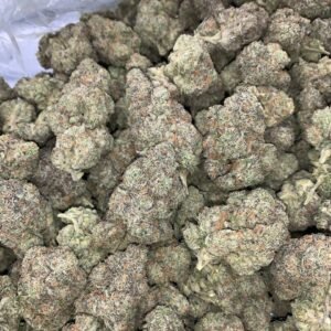 Alien Gelato STRAIN