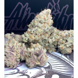 Atomic Apple - Indoor