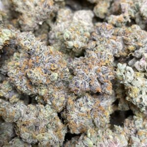 BISCOTTI SUNDAE STRAIN