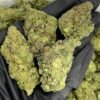 BISCOTTI X RUNTZ STRAIN