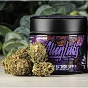 Baklava- Moongrown