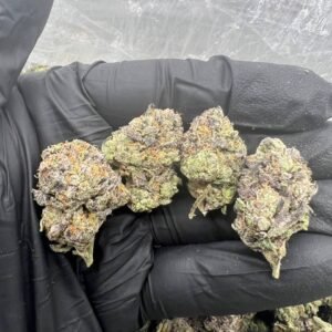 Blue NERDZ 2.0- STRAIN
