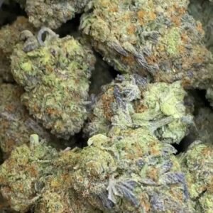 Blue Slushy STRAIN