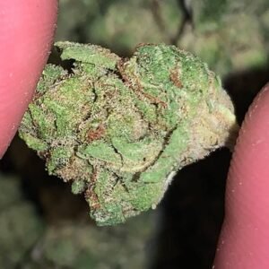 Candy Glue Smalls Strain