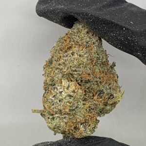 Candy Nerdz Strain