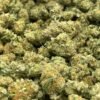 CHERRY LATO SMALLS STRAIN