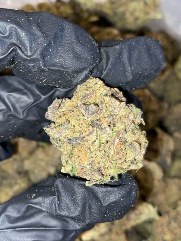 COOKIE KUSH STRAIN