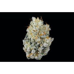 Creme de Menthe - Indoor