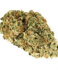 Dog Walker OG Cannabis