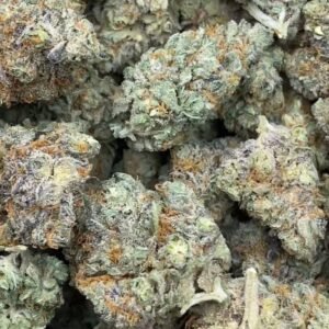 Funfetti Strain
