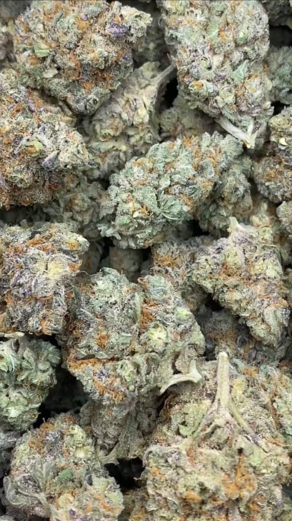 Funfetti STRAIN