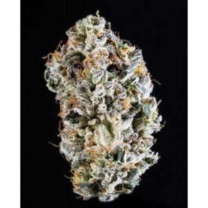Galactic Gas - Indoor