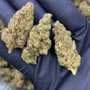 Garlic Cookies