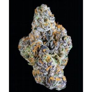 Gelato 41 - Indoor