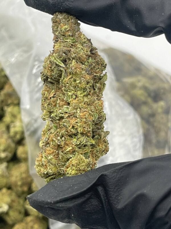 Grapes CREAM STRAIN