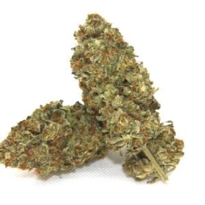 BUY JACK HERER KUSH