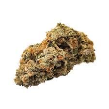Buy Jesus OG