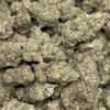 Mango Shebert STRAIN