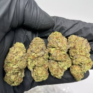 Purple Hi-tech Strain