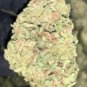 Rainbow Zkittlez Strain