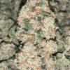 REAL MARATHON OG STRAIN