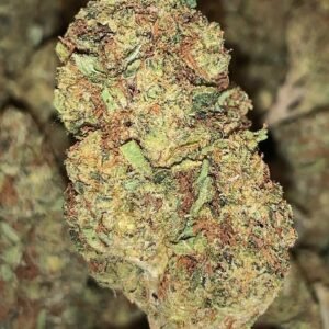 Silver Surfer OG Strain