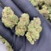 Snow cone Strain