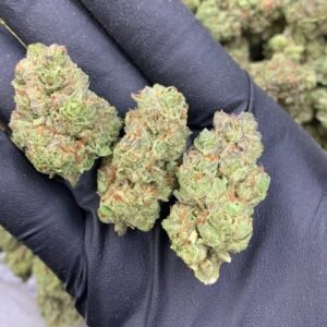 Snow cone Strain