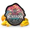 tre house magic mushroom sour tropical gummies 36714614653007